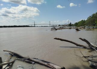 rio panuco