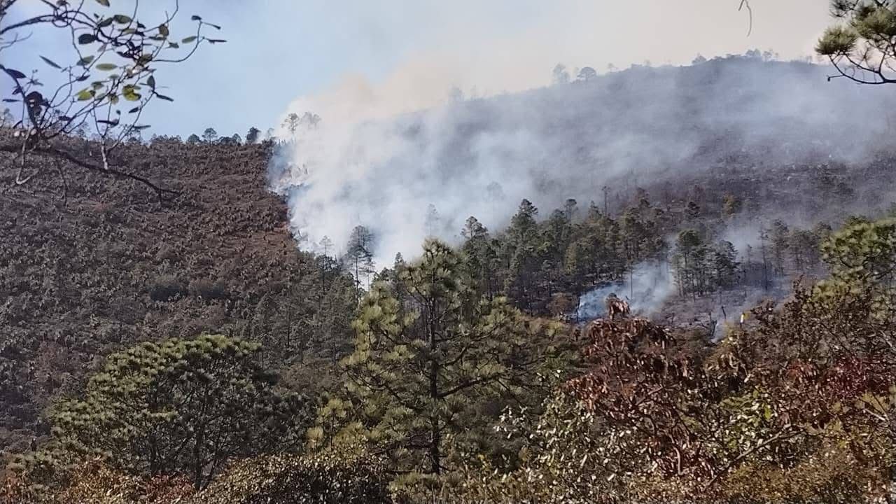 Miquihuana registra 15 ha afectadas por incendio forestal - En Público